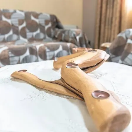 Apartament Dimitri's Mountain House