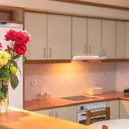 Dimitri's Mountain House Karpenísion