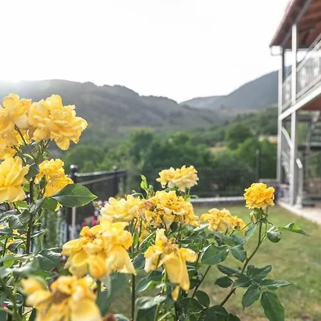 Dimitri's Mountain House * Karpenísion