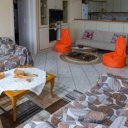 Dimitri's Mountain House アパート *